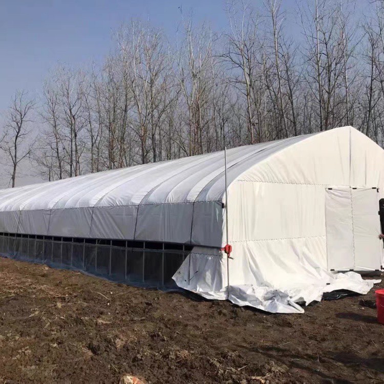 Ffilm Poly Du a Gwyn