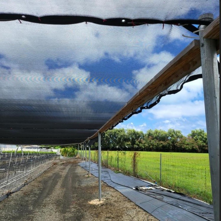 shade cloth – application scene photo of the shade net