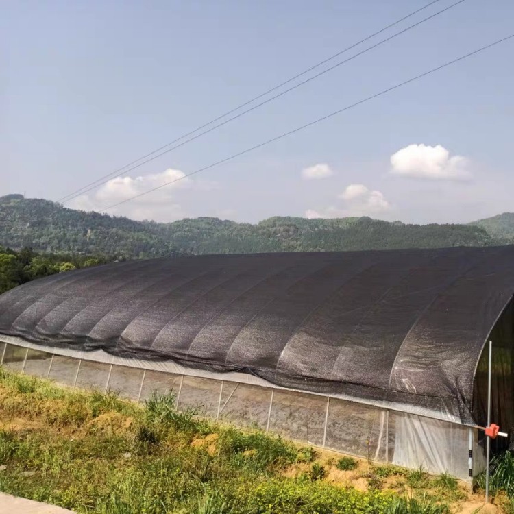 chicken shade cloth– application scene photo of the shade net