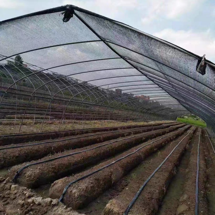 Brethyn Cysgod Du ar gyfer Tŷ Gwydr