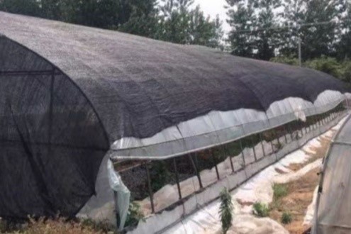 green house shade net green house shade net