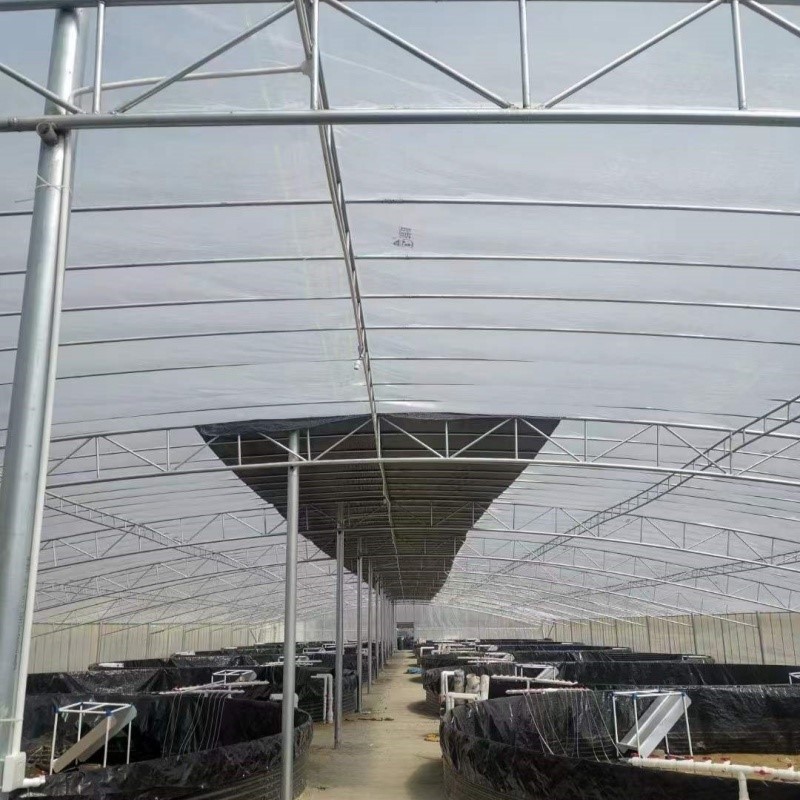 green house plastic film 100 micron – woven film for aquaculture covering green house plastic film 100 micron – woven film for aquaculture covering