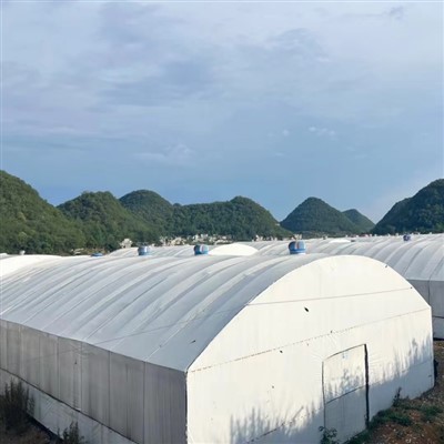 Ffilm Myfyriol Panda